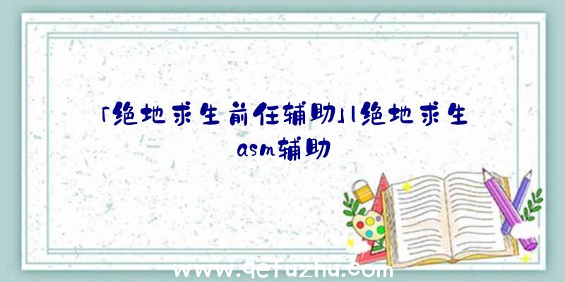 「绝地求生前任辅助」|绝地求生asm辅助